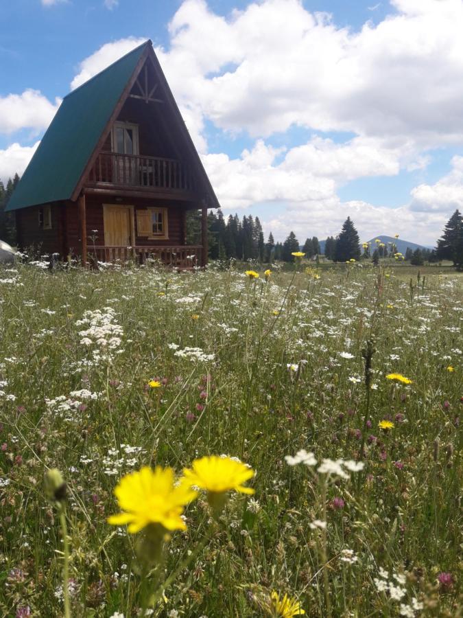 Holiday Home Jabucilo Žabljak Exteriör bild