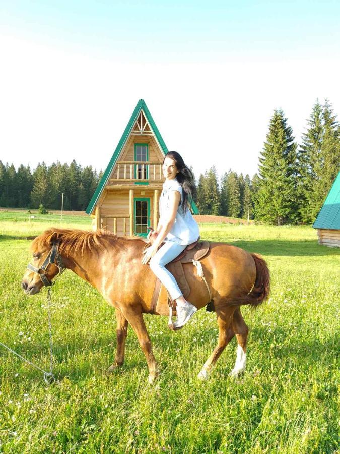 Holiday Home Jabucilo Žabljak Exteriör bild